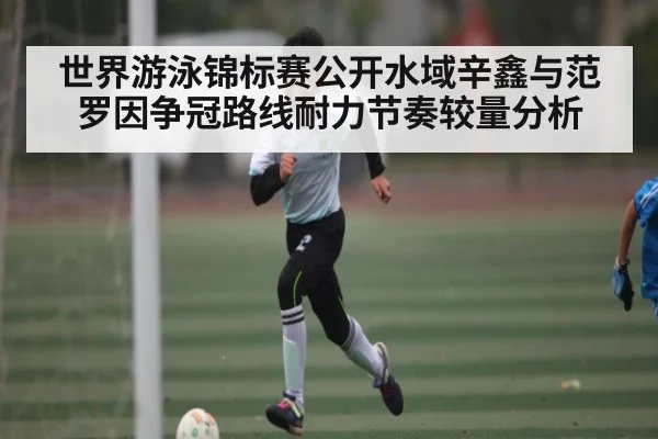 世界游泳锦标赛公开水域辛鑫与范罗因争冠路线耐力节奏较量分析