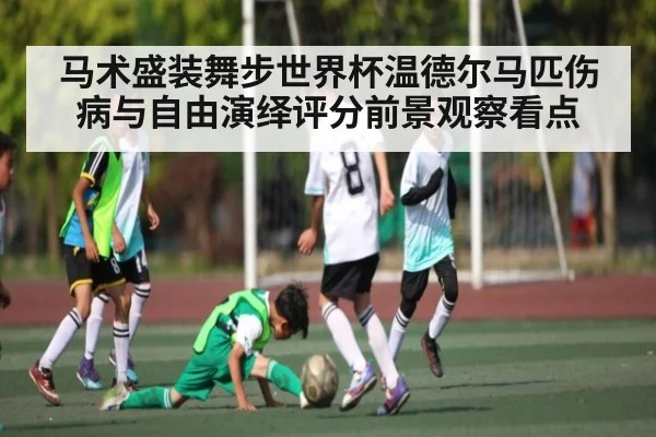 马术盛装舞步世界杯温德尔马匹伤病与自由演绎评分前景观察看点